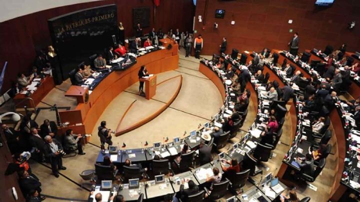 Navidad en el Senado: 5.7 millones de pesos nacimiento, árbol y conciertos de temporada