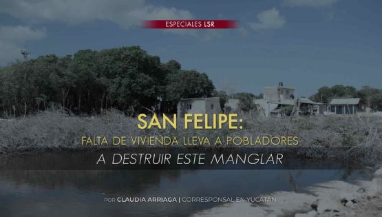 San Felipe: falta de vivienda lleva a pobladores a destruir este manglar