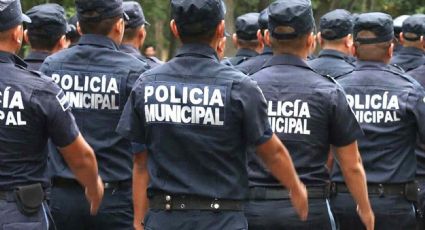¿Necesitas trabajo? Xalapa contratará policías 