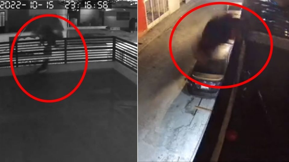 El hecho quedó grabado en dos videos que muestran, desde distintos ángulos, el momento en que dos perros acorralan a un ladrón, quien optó por saltar por el balcón para ponerse a salvo