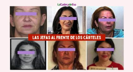 Guacamaya leaks: Las jefas que quedaron al frente de los cárteles del narco
