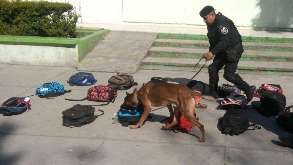 Padres de Familia solicitan el programa Mochila Segura en la escuela para evitar más casos de agresión.