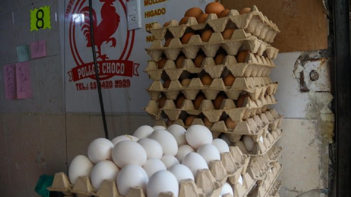 Huevo blanco o rojo, ¿cuál es el mejor?