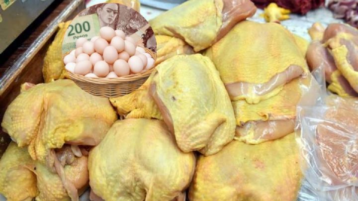 ¿Va a subir el precio del pollo y el huevo? Esto sabemos