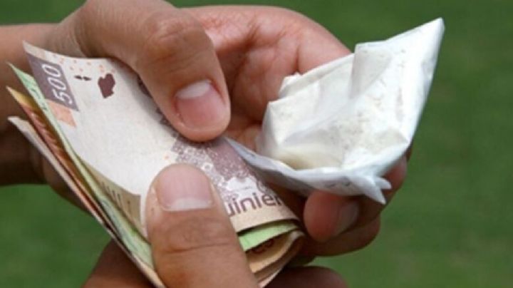 Hay una narcotiendita por cada escuela en CDMX, revelan hackeos de “Guacamaya”