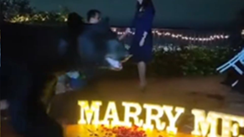 Vídeo de oso en propuesta de matrimonio se vuelve viral