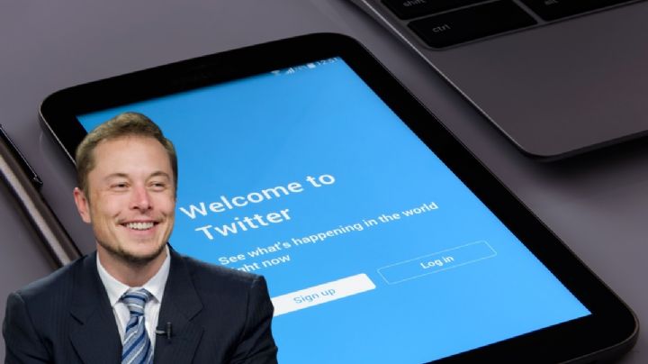 ¿Cuántos dólares le bajó Elon Musk al verificado en Twitter?