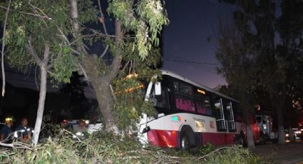 Choca con un árbol camión del Mexibús en Tultitlán, con saldo de 10 lesionados