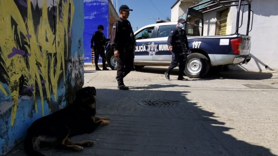 Vecinos reportaron a las autoridades de Oaxaca el hallazgo de un perro con una extremidad humana en el hocico; fiscalía investiga