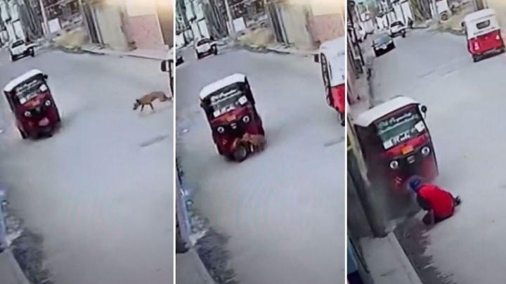 VIDEO: “Para que veas lo que se siente”; lomito atropella a mototaxi