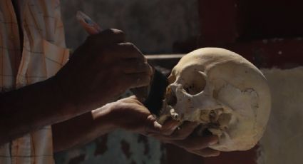 Hallan cráneo “plantado” en una maceta, en Campeche