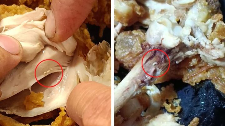 VIDEO: Familia come pollo de KFC y después descubre que tenía gusanos
