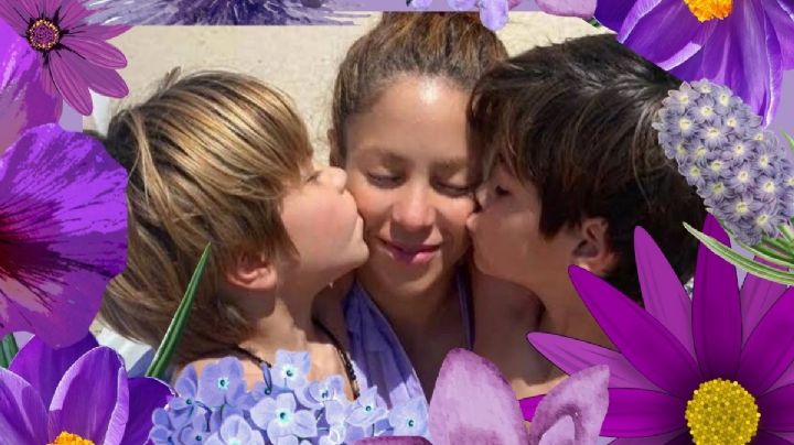 Shakira y la custodia de sus hijos: Lo más importante, dejar de exponer a los menores