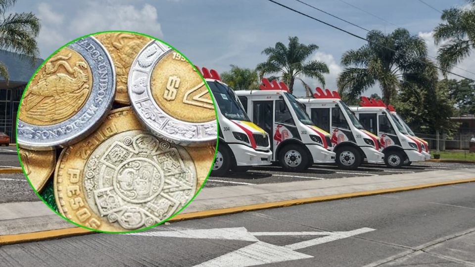 Esta flota de autobuses se une a los Búhos, que hacen una ruta nocturna durante la madrugada