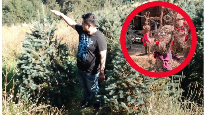 Comprar el árbol de Navidad, una tradición que llena de felicidad a familias