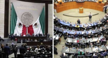 El gran privilegio de ser legislador en México