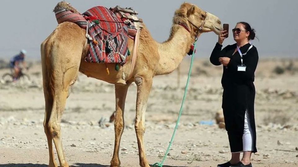 La gripe del camello se ha detectado en al menos 27 países