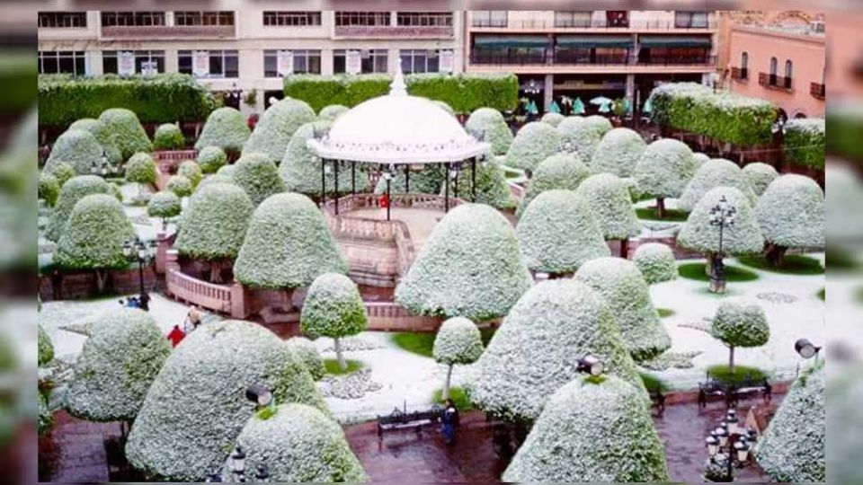 La foto más icónica de aquel 13 de diciembre, cuando una capa de nieve cubrió a la ciudad de León.