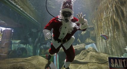 FOTOS: Santa Claus bucea en el Zoológico de Guadalajara