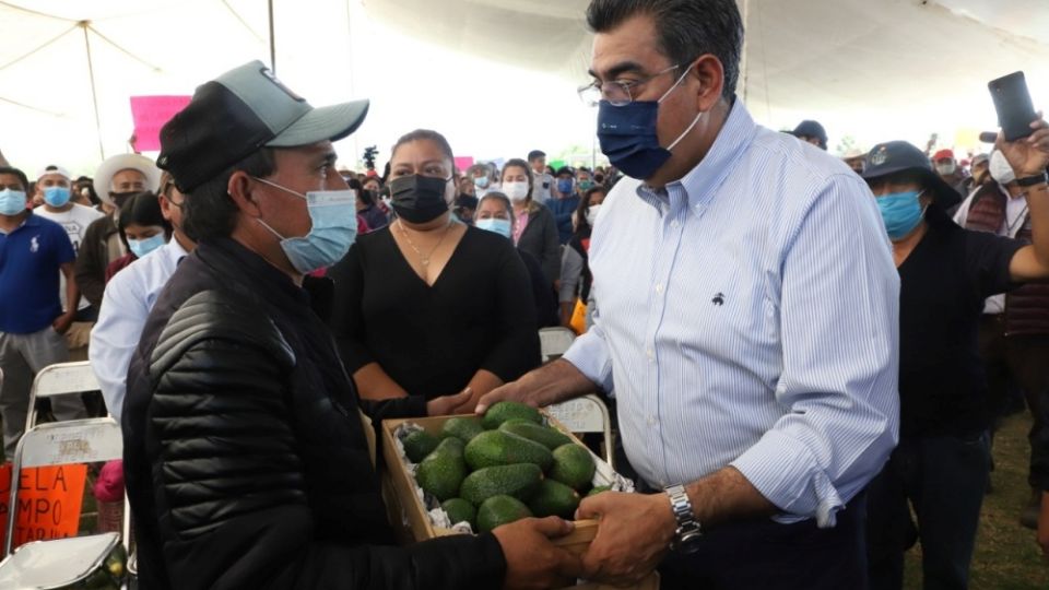 En Ajalpan, el gobernador de Puebla entregó 942 apoyos para la Recuperación del Campo Poblano; este rubro fue una de las principales preocupaciones del exgobernador Miguel Barbosa Huerta