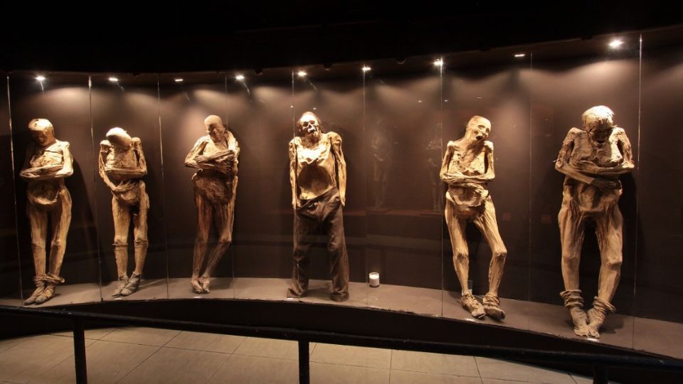 El Museo de las Momias de Guanajuato exhibe 59 cuerpos.
