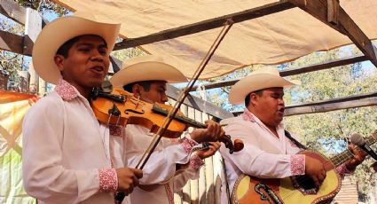 Cultura Hidalgo negó presupuesto para evento indígena; juez ordena consulta