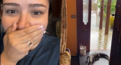 VIDEO: Mujer es sorprendida por cocodrilo en su puerta