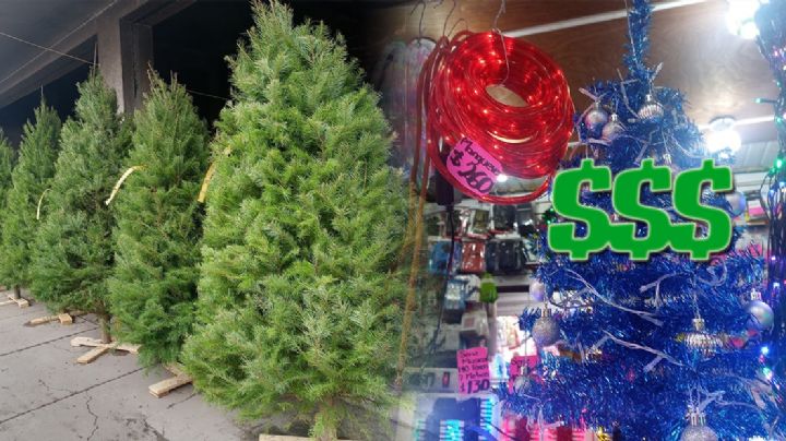 ¿Quieres poner tu pino de navidad? Estos son los precios en Veracruz