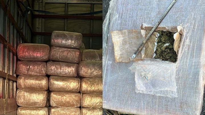 Guardia Nacional intercepta camión con tonelada y media de marihuana en NL
