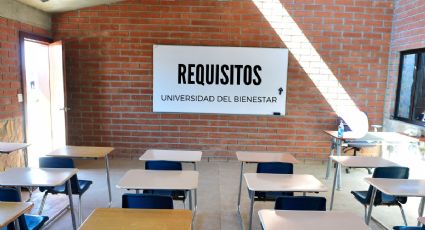 Requisitos para ser maestro de la Universidad del Bienestar en Veracruz
