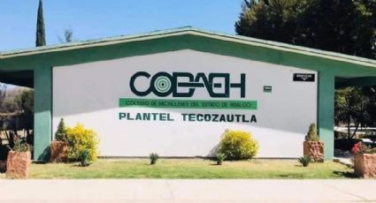 Empresas inhabilitadas por Contraloría estatal tuvieron contratos con el Cobaeh