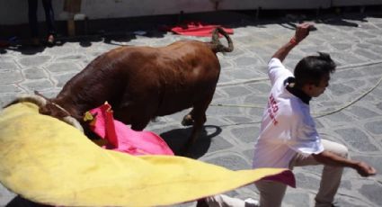 Suelta de toros en Xico deja 4 heridos; 2 están hospitalizados