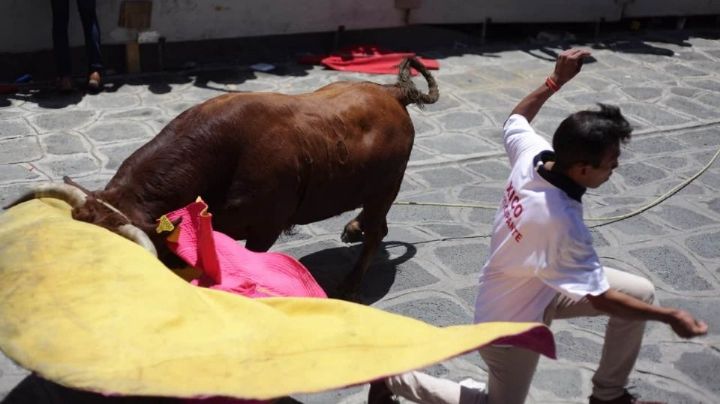 Suelta de toros en Xico deja 4 heridos; 2 están hospitalizados