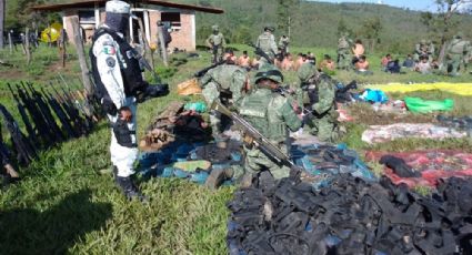 ¡Los agarran dormidos!: Capturan a 37 sicarios de Los Correa, en Michoacán