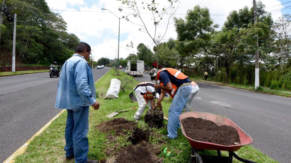 La actividad se realizará en el municipio de Xico