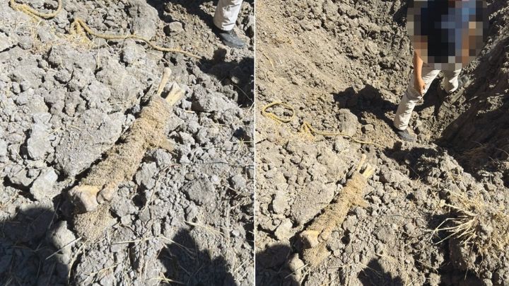 “El Barretal”, el nuevo centro de exterminio hallado en Cd. Victoria