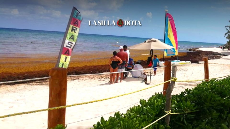 En Playa del Carmen el sargazo es un problema con el que los turistas se encuentran cada viaje