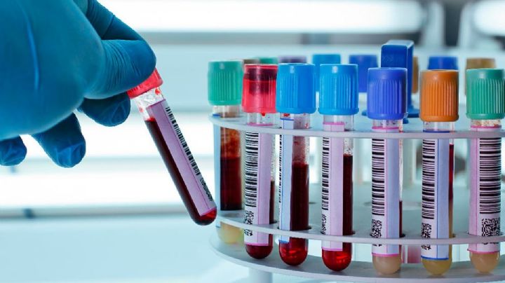 Cártel de la sangre en México: las 5 empresas impedidas de lucrar con la salud