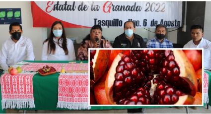 ¿Te gusta la granada? Vuelve festival dedicado a esa fruta en Tasquillo