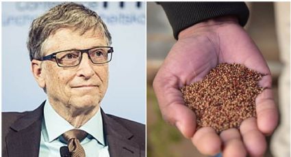 ¿Qué son las “semillas mágicas” de Bill Gates vs el hambre?