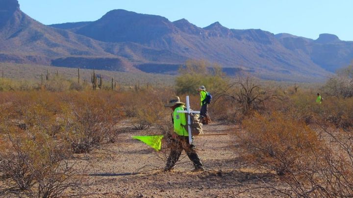 Águilas del Desierto, bajo 50 grados buscan a migrantes abandonados en Arizona
