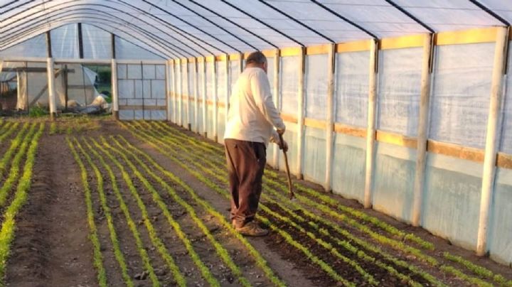 Producen alimentos 5 mil localidades de Hidalgo; Inegi irá a cada rincón