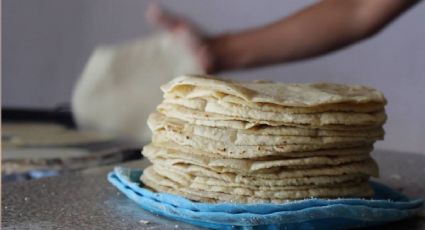 Sube 3 pesos el kilo de tortilla en Hidalgo; productores piden compresión