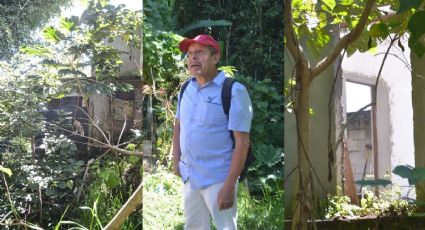 Casas en colonia de Coatepec penden de bambús; vecinos claman ayuda