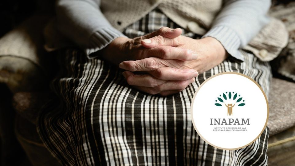 El curso que impartirá el INAPAM se llama “Cuidado básico de la persona adulta mayor en domicilio”.