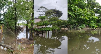 "Dormimos en la escuela", veracruzanos tras inundaciones en Minatitlán