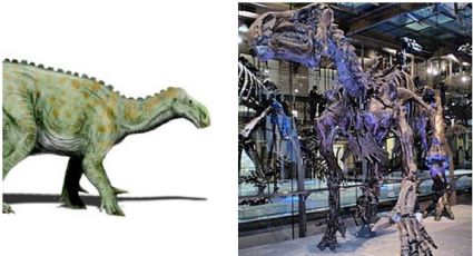 ¿Jurassic World? Subastan en París un dinosaurio bien conservado