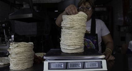 Gobierno mexicano impone arancel del 50% a maíz para estabilizar la tortilla