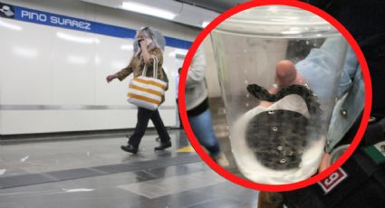 ¿Metro modo jungla? Policías resguardan víbora de cascabel en estación Pino Suárez