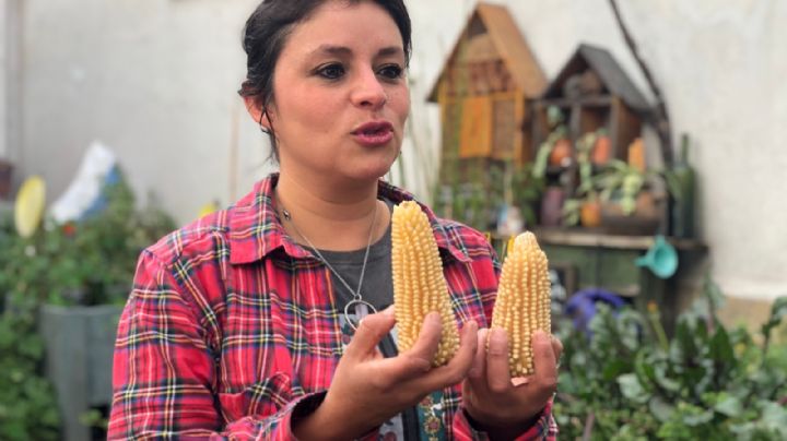 ¿Las palomitas de maíz son toluqueñas?